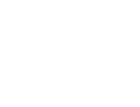 Лого футер